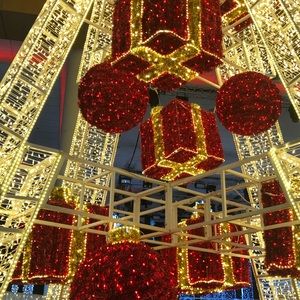 Meet your Posher, Winnie